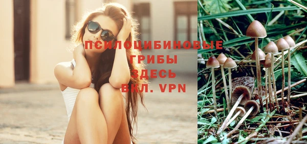 индика Абдулино