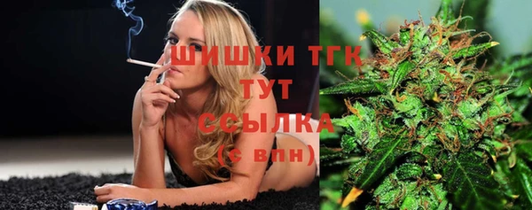 стаф Надым
