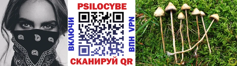Псилоцибиновые грибы GOLDEN TEACHER  Лиски 